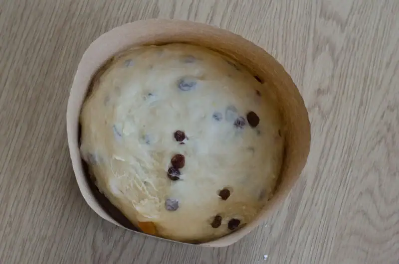 Domáce panettone