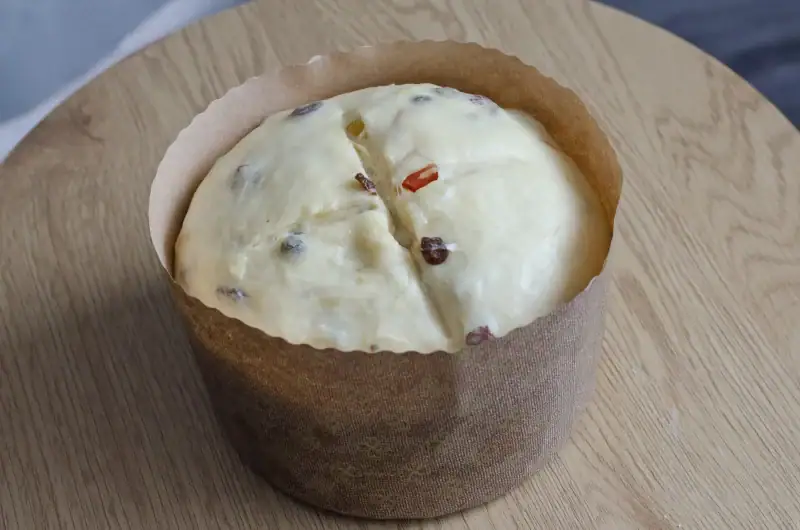 Domáce panettone